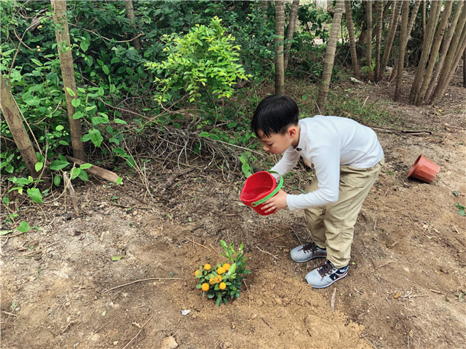 種一棵小樹,綠一方淨土